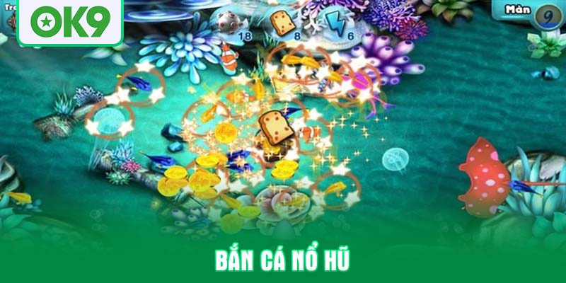 ban-ca-no-hu