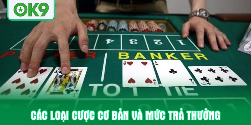 Các loại cược cơ bản và mức trả thưởng