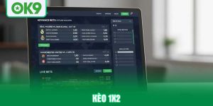 keo-1x2