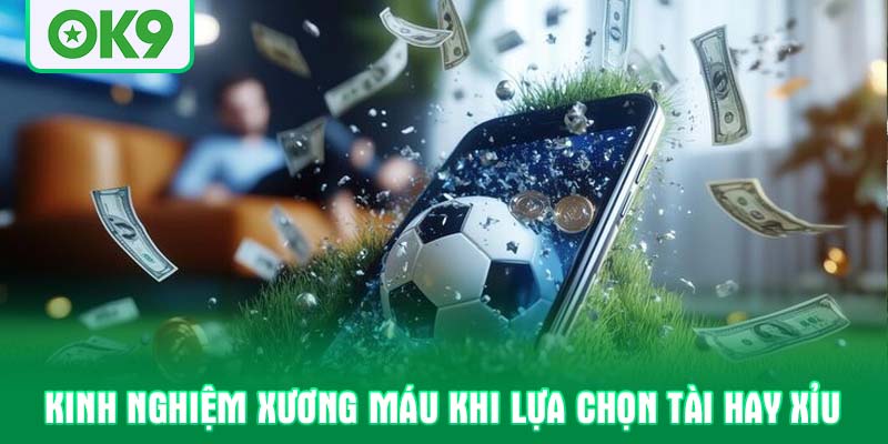 Kinh nghiệm xương máu khi lựa chọn tài hay xỉu