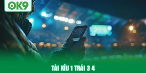 tai-xiu-1-trai-3-4