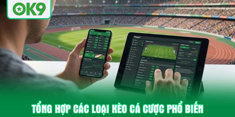 Tổng hợp các loại kèo cá cược phổ biến