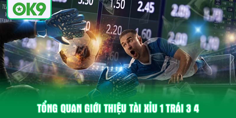 Tổng quan giới thiệu Tài xỉu 1 trái 3 4