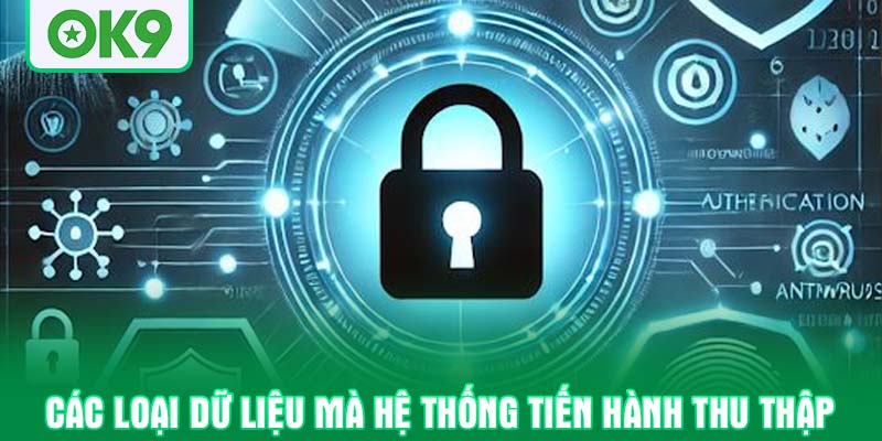 Các loại dữ liệu mà hệ thống tiến hành thu thập
